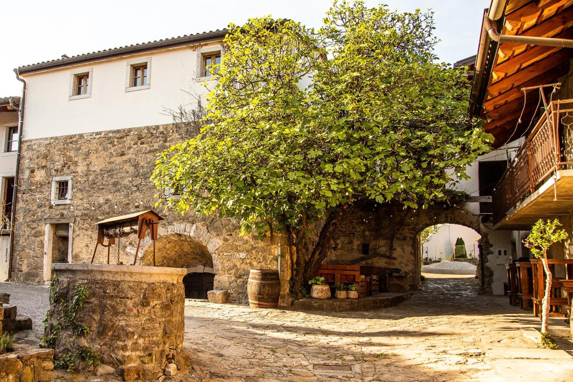 Boutique Rooms & Winery Zorz Vipava Exteriér fotografie